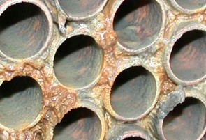 Picture9